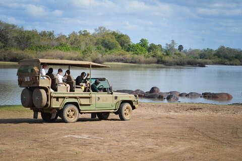 Dag Safari Tour Selous Game Reserve