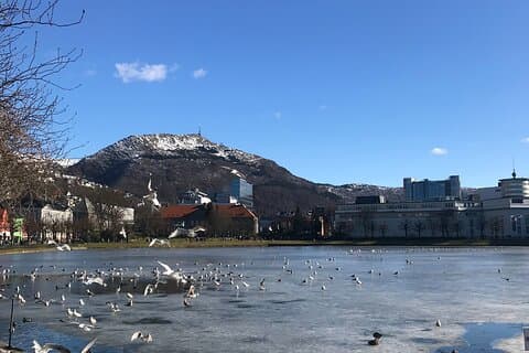 Zero Emission Bergen City Tour med bil