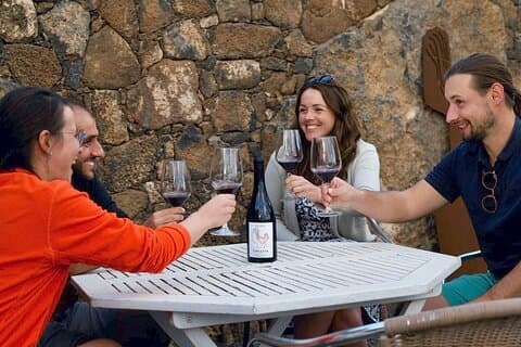Visite du vignoble avec dégustation de vins et produits locaux