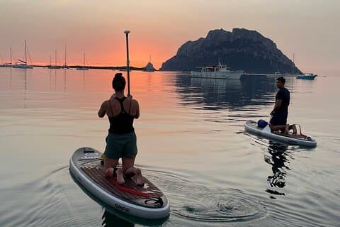 Dolphin-spotting SUP tour with Golfo Aranci aperitif