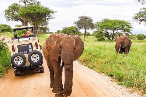 Safari Ngutuni Conservancy di 2 giorni da Mombasa