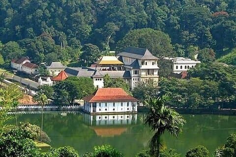 Kandy privévervoer met bezienswaardigheden vanuit Colombo