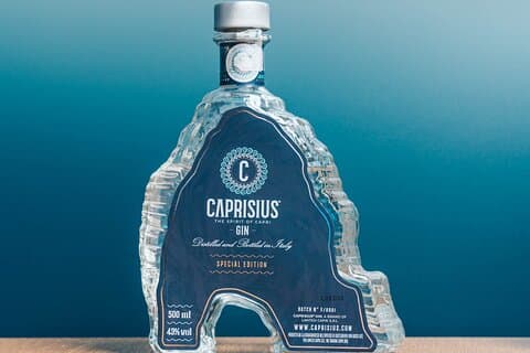 Dégustation guidée de poisson et de gin de 2 heures avec déjeuner à Pompéi