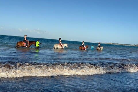 Dunn's River, Horse Back, Blue Hole Secret Falls från Montego Bay