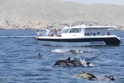 Dolfijnen kijken en snorkelen in Muscat