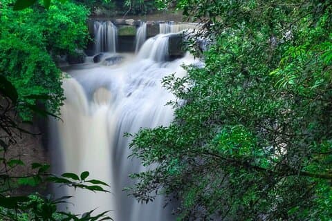 Parque Nacional Khao Yai Dia inteiro de Bangkok - Com Bilhete