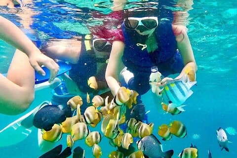 Blå lagune og tanjung jepun snorkling alt inkludert