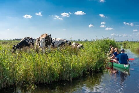 Aventura com canoagem guiada com almoço (piquenique) em Waterland saindo de Amsterdã