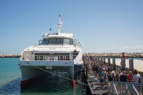 Heldags privat Robben Island, Penguins & Cape of Good Hope Tour