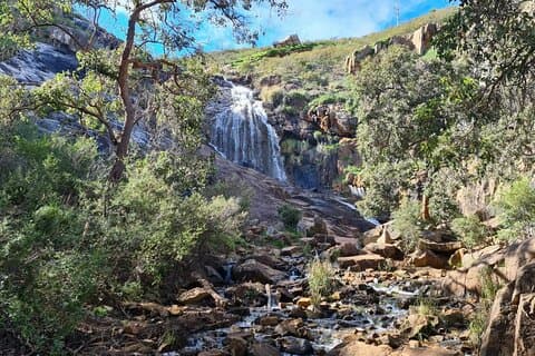 Waterfalls, Wildflowers & Wandoo Hiking Experience
