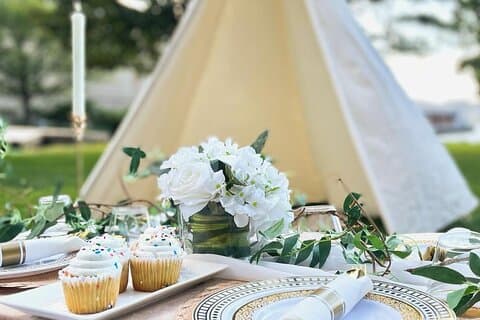 Central Park Luxury Picnic