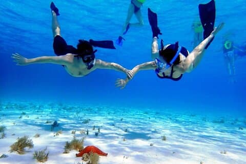 Cozumel El Cielo Sandbar and Reef Snorkeling Private Adventure