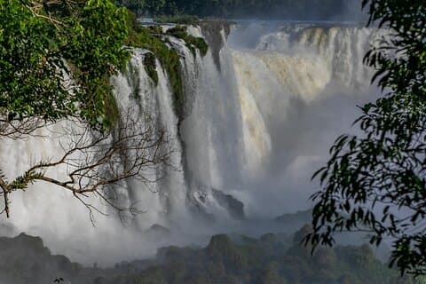 Bird Park & Iguassu Brazilian Side Gran Meliá Hotel Exclusive - Private Tour
