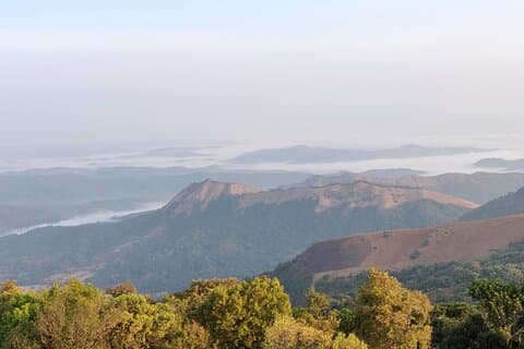 Trek the Kodachadri Summit
