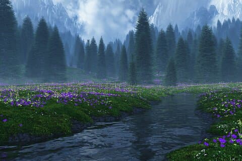 Twilight Forks Washington-Tour