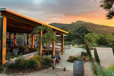 5 hours Far End of Waiheke Scenic Wine Tour in Electric Vans