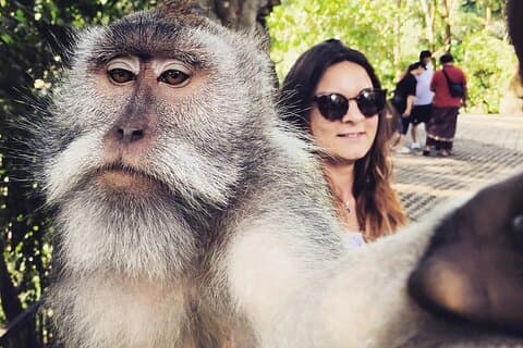 Ubud Private Tour Driver in One Day