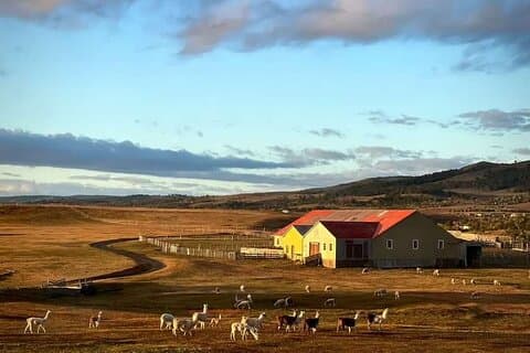Estancia ,de la comuna de Laguna Blanca