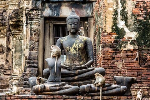Lopburi Monkey Temple & Ayutthaya Old City Tour från Bangkok