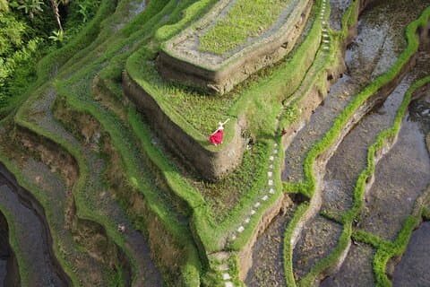 Fotógrafo privado de Bali y dron