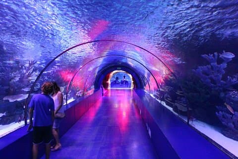 Heldagsbesøg i Antalya Aquarium & Gold Centre med tur i den gamle bydel
