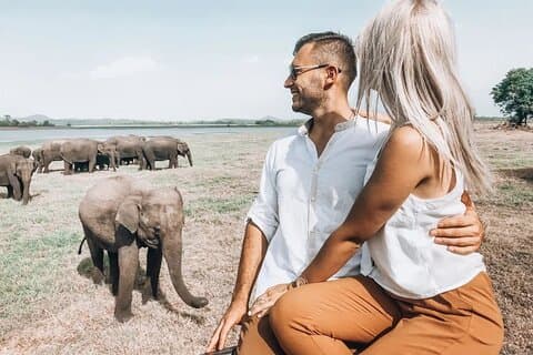 Majestic Mammals Of Sri Lanka: Whale & Elephant Safari Tour