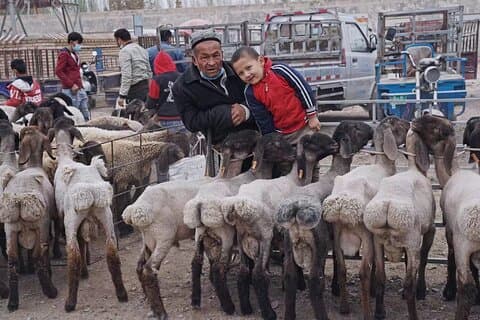 17-dagers guidet tur i Silk Road Kina