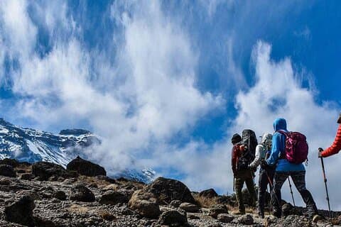 Tour privato di un'intera giornata al Parco Nazionale del Kilimangiaro