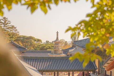 Private Gyeongju Tour - Udforsk Gyeongju UNESCO-steder