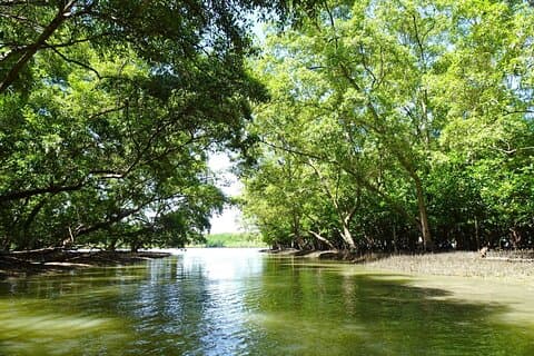 Heldags Mangrove Forest Conservation Center