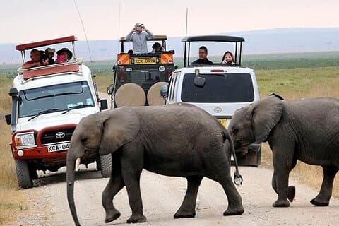 Privat Amboseli övernattningstur