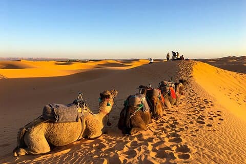 2 dagar/1 natt Sahara Desert Trip: Fes - Merzouga - Fes