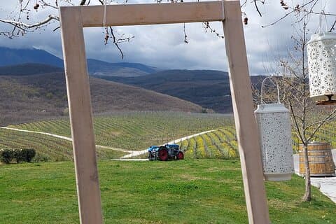 Tesalónica a Naoussa, tour de cata de vinos - Excursión privada de un día