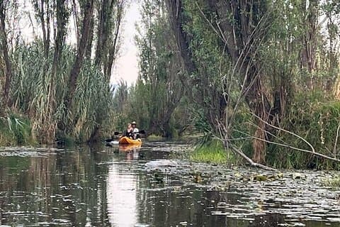 3 ore di kayak negli antichi canali di Xochimilco