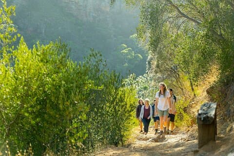 Randonnée dans la nature sauvage et la faune de Morialta