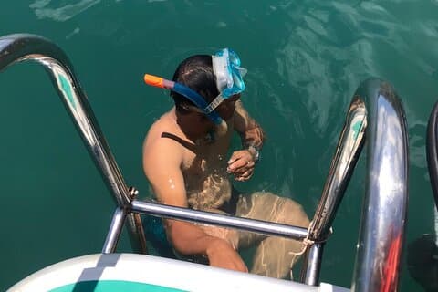 Journée complète de plongée et de plongée en apnée par Tiger Fish Divers