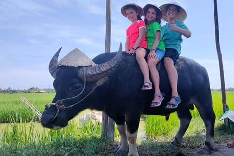 Cycling, Buffalo Ride and Basket Boat Tour in Hoi An