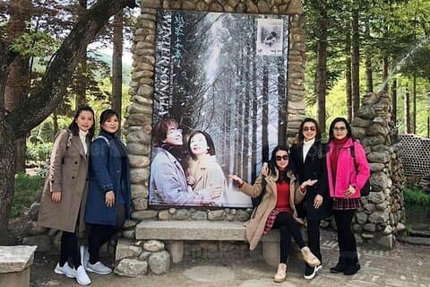 Nami Island og nærliggende attraksjoner: Charter Van Tour med sjåfør