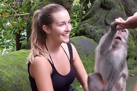 Excursion d'une journée complète sur l'île de Bali, y compris le mont Batur et le sanctuaire sacré de la forêt des singes