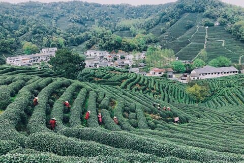Viagem de caminhada em Hangzhou Jiuxi e Tea Village saindo de Xangai de trem