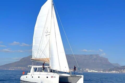 Croisière en catamaran au Cap