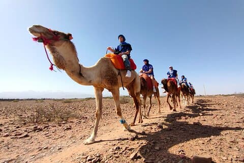 Heldagstur i Atlasbergen från Marrakech