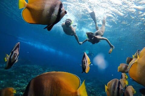 Um dia Nusa Penida Island West com Snorkeling