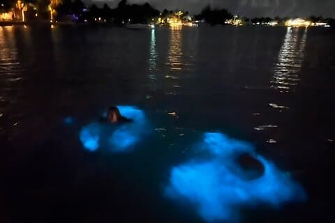 Per uso privato: tour della bioluminescenza