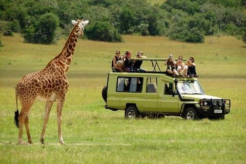 Excursão em grupo majestoso de 4 dias no Safari