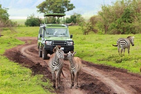 Safari de camping de 4 jours dans le nord de la Tanzanie