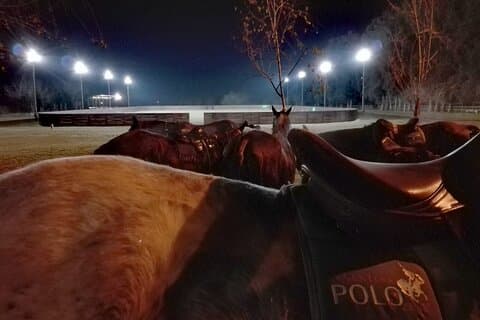 Soirée Polo Under the Stars et Argentine BBQ à Buenos Aires