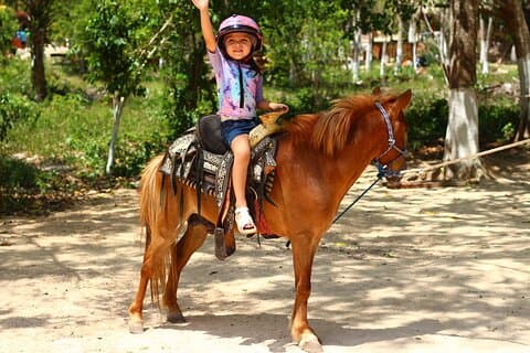 Tasting af tequila, Cenote, Horseback ridning, ATV, Ziplines & Lunch