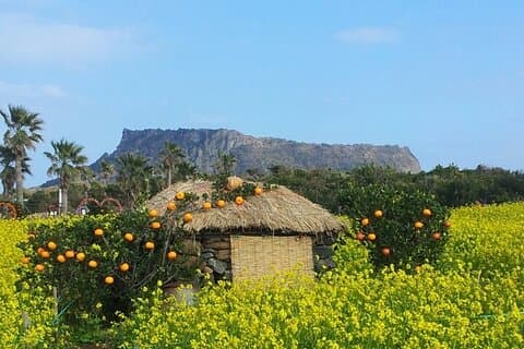 Bela excursão privada ao dia da UNESCO na Ilha de Jeju