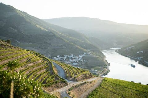 Premium privat Douro-tur: 2 vingårde med smagninger og krydstogt